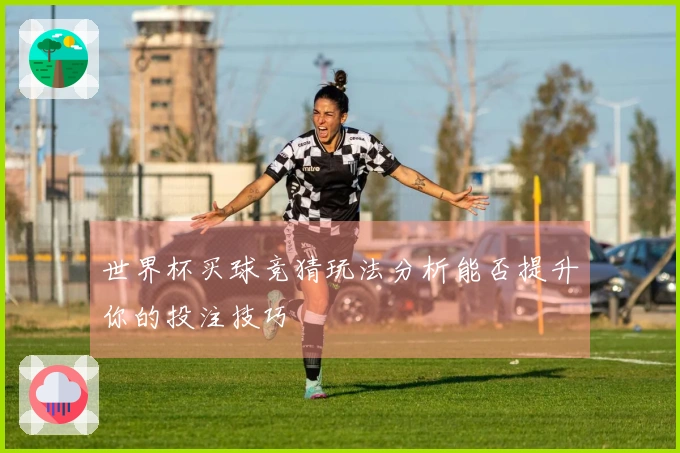 世界杯买球竞猜玩法分析能否提升你的投注技巧