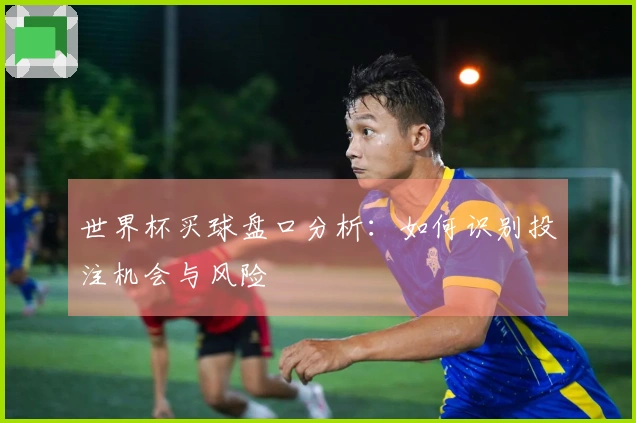 世界杯买球盘口分析：如何识别投注机会与风险