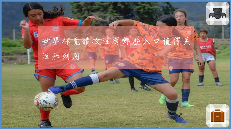 世界杯竞猜投注有哪些入口值得关注和利用