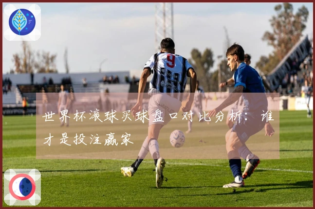 世界杯滚球买球盘口对比分析：谁才是投注赢家