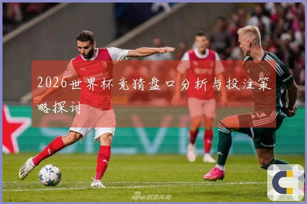 2026世界杯竞猜盘口分析与投注策略探讨