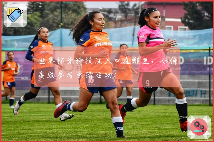 世界杯竞猜投注入口在哪里，如何高效参与竞猜活动？