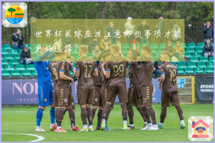 世界杯买球应该注意哪些事项才能更好选择？