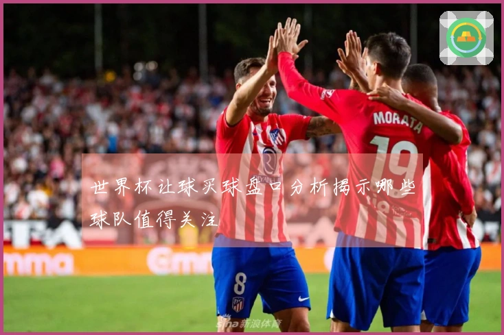 世界杯让球买球盘口分析揭示哪些球队值得关注