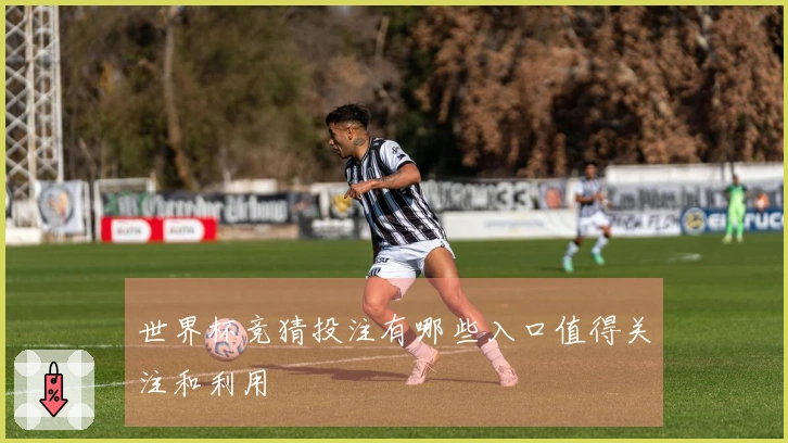世界杯竞猜投注有哪些入口值得关注和利用