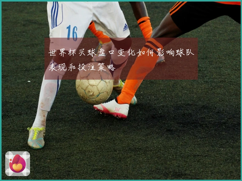 世界杯买球盘口变化如何影响球队表现和投注策略