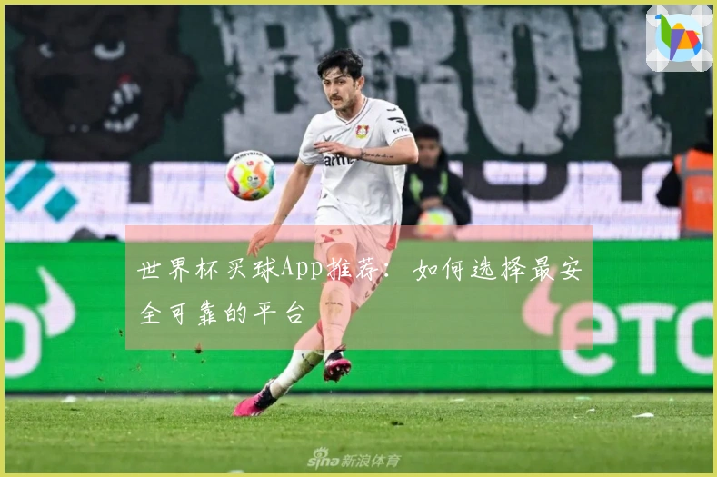世界杯买球App推荐：如何选择最安全可靠的平台