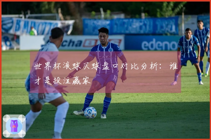 世界杯滚球买球盘口对比分析：谁才是投注赢家