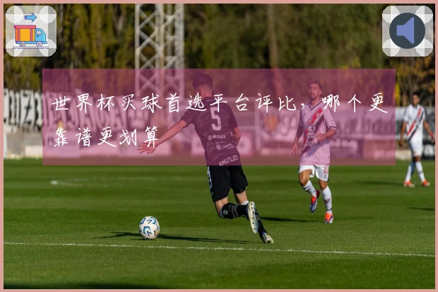世界杯买球首选平台评比，哪个更靠谱更划算