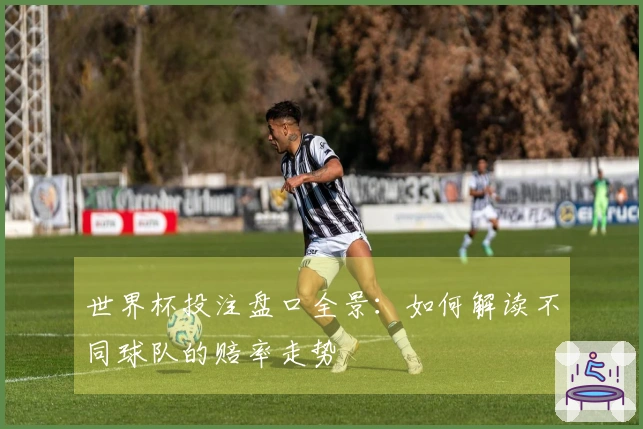 世界杯投注盘口全景：如何解读不同球队的赔率走势