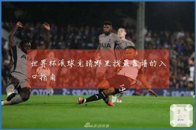 世界杯滚球竞猜哪里找最靠谱的入口指南